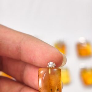 Natural Amber Insect Pendant