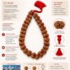 27+1 Gaurishankar Rudraksha Mala