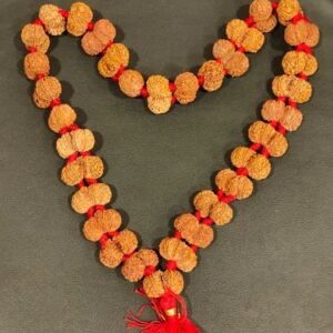 27+1 Gaurishankar Rudraksha Mala