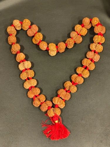 WhatsApp Image 2026-08-02 at 5.58.30 PM 27+1 Gaurishankar Rudraksha Mala