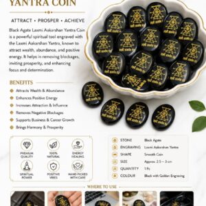 Black Agate Laxmi Aakarshan Yantra Coin