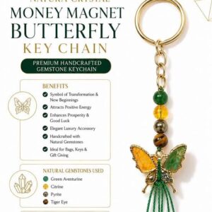 Money Magnet Butterfly Key Chain