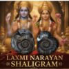 Laxmi Narayan Shaligram