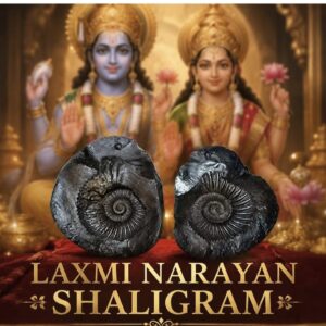Laxmi Narayan Shaligram