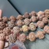 1 to 14 Mukhi Nepali Siddh Mala
