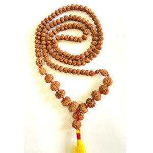 1 to 14 Mukhi Gauri Shankar & Ganesha Rudraksha Siddh Mala – Indonesia