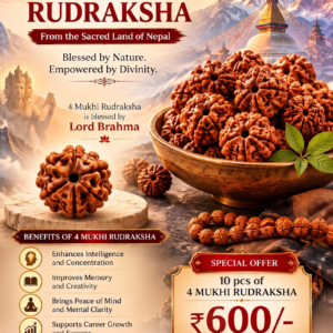 Nepali 4 Mukhi Rudraksha