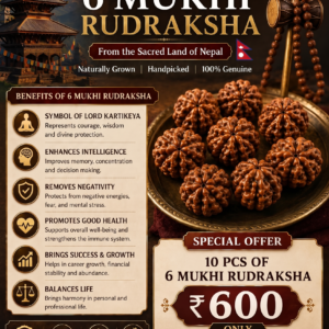 Nepali 6 Mukhi Rudraksha